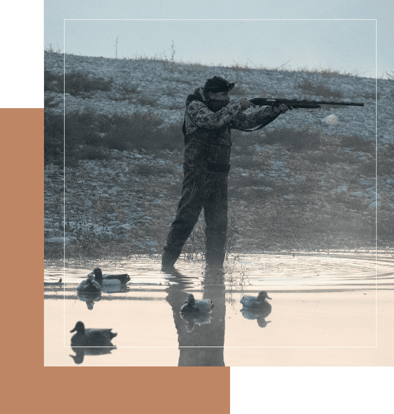 A man is holding a gun and ducks are in the water.